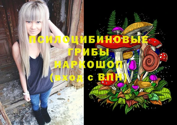 дживик Алзамай