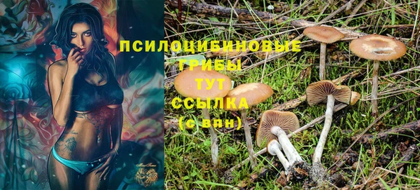 ALPHA-PVP Алексин
