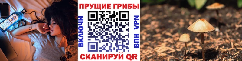 мега маркетплейс  Куйбышев  Псилоцибиновые грибы MAGIC MUSHROOMS 